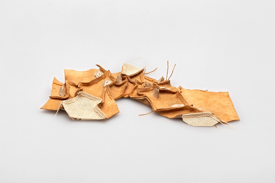Anna-Warneboldt_Narrative-Matters_AliusAlium_2022_01-960