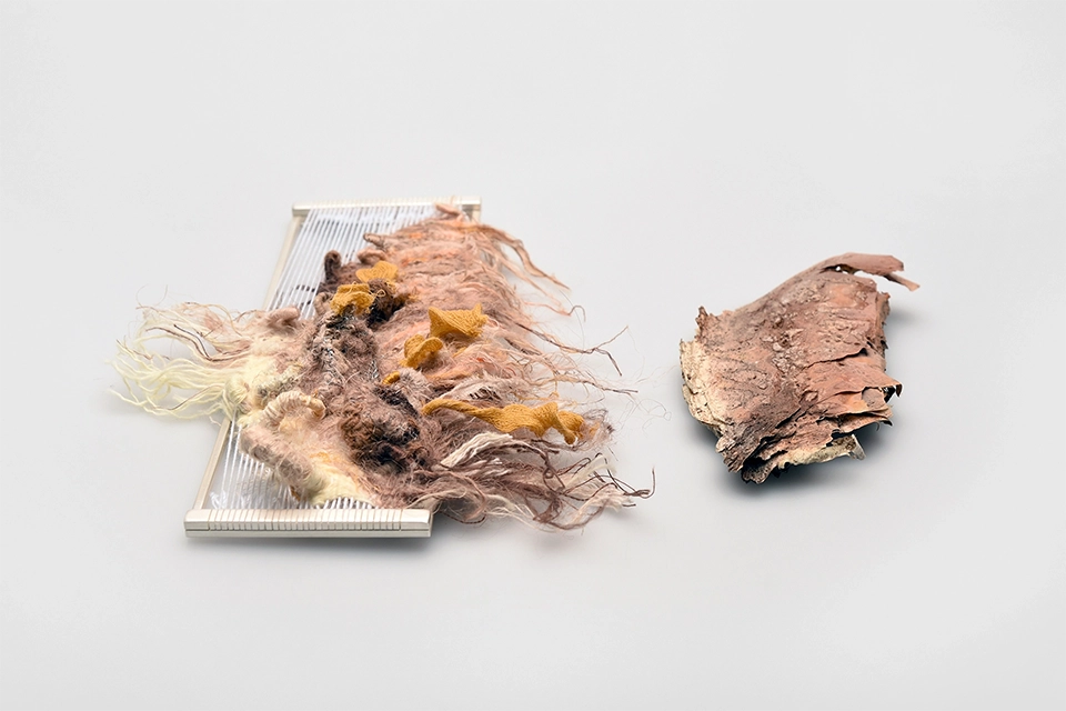 Anna-Warneboldt_Meet-your-universe_Recordatio_2022_01-960