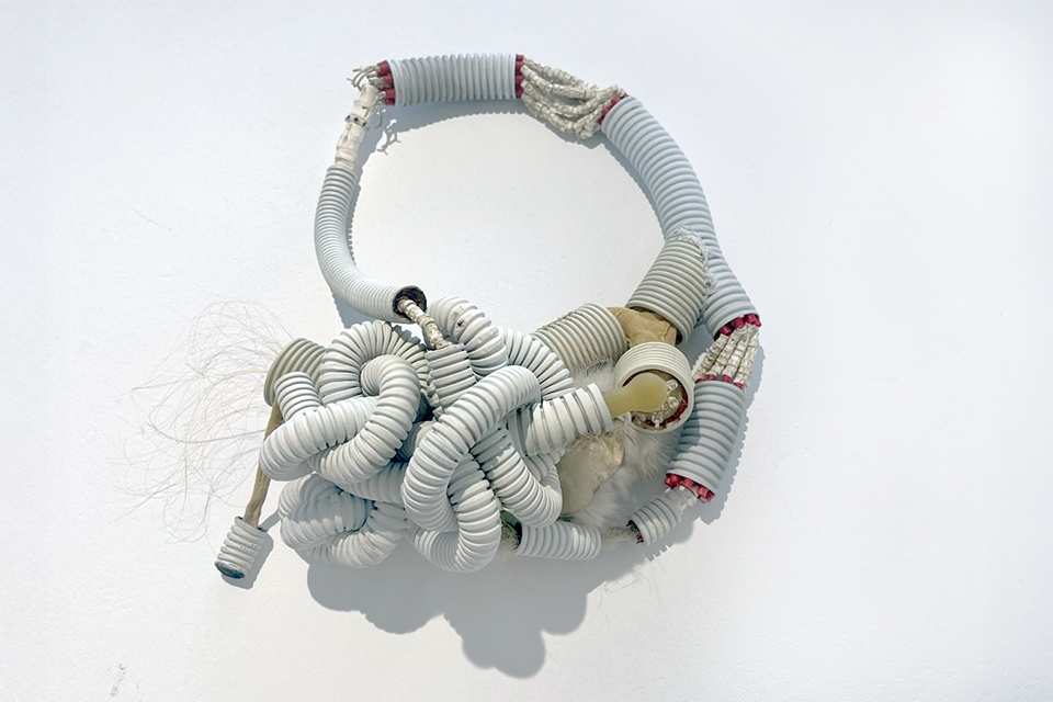 Jonas-Quirin-Leikauf_Mehrbettzimmer_Determined-to-be-titled_2024_960x640